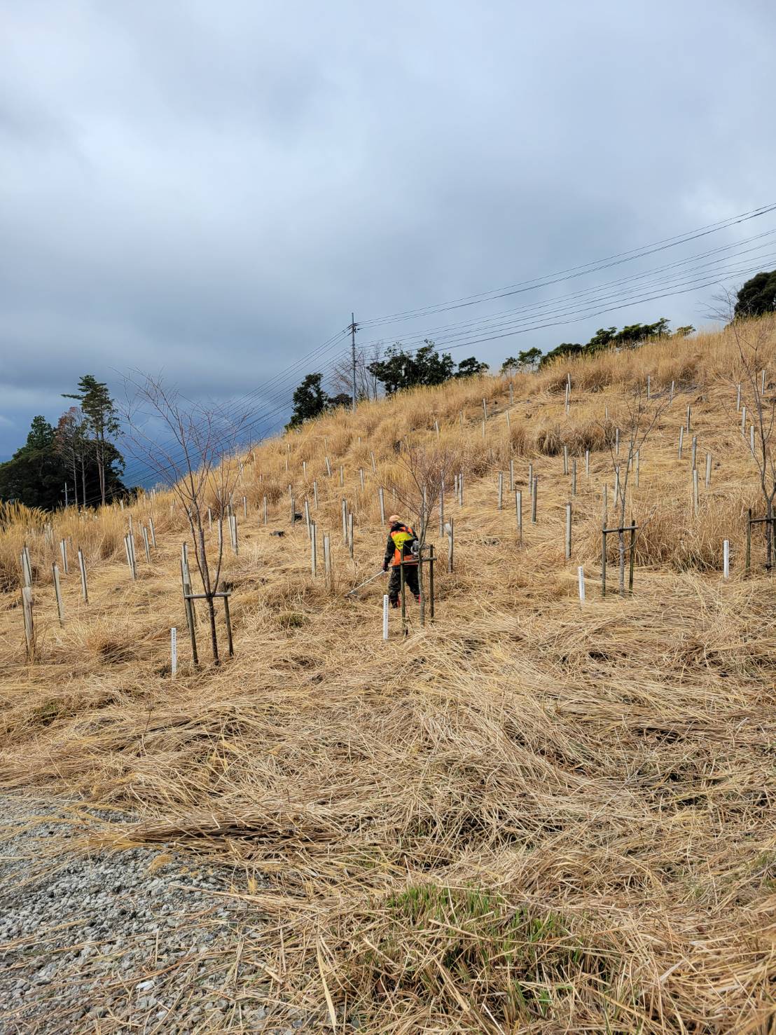 【地域貢献活動】加治木猟友会が子どものための公園で草払い活動を実施